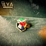 بج سینه ایلیا