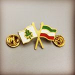 بج سینه ایلیا